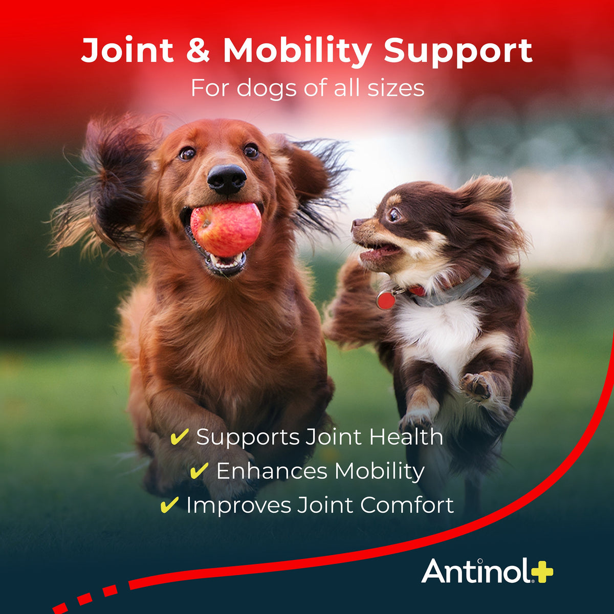 Pet Oil Supplement product image 2