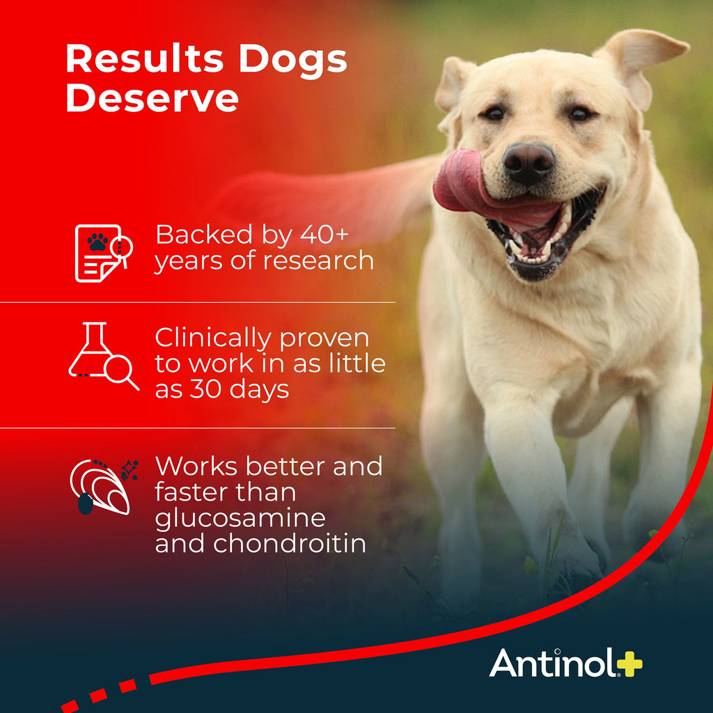 Pet Oil Supplement product image 3