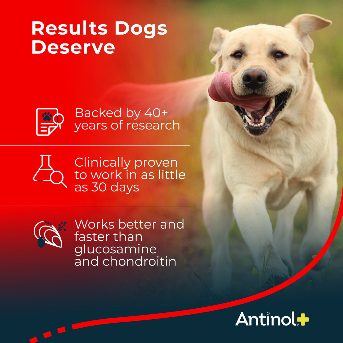 Pet Oil Supplement product image 3