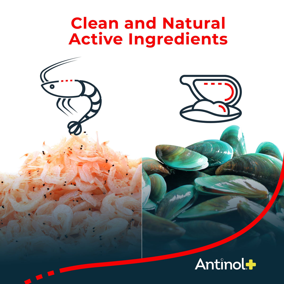 Pet Oil Supplement product image 6