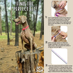Large Dog Collar product image 3