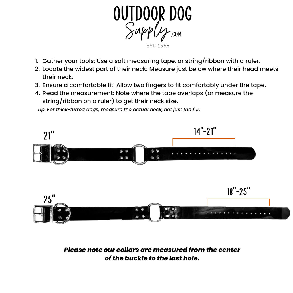 Large Dog Collar product image 5
