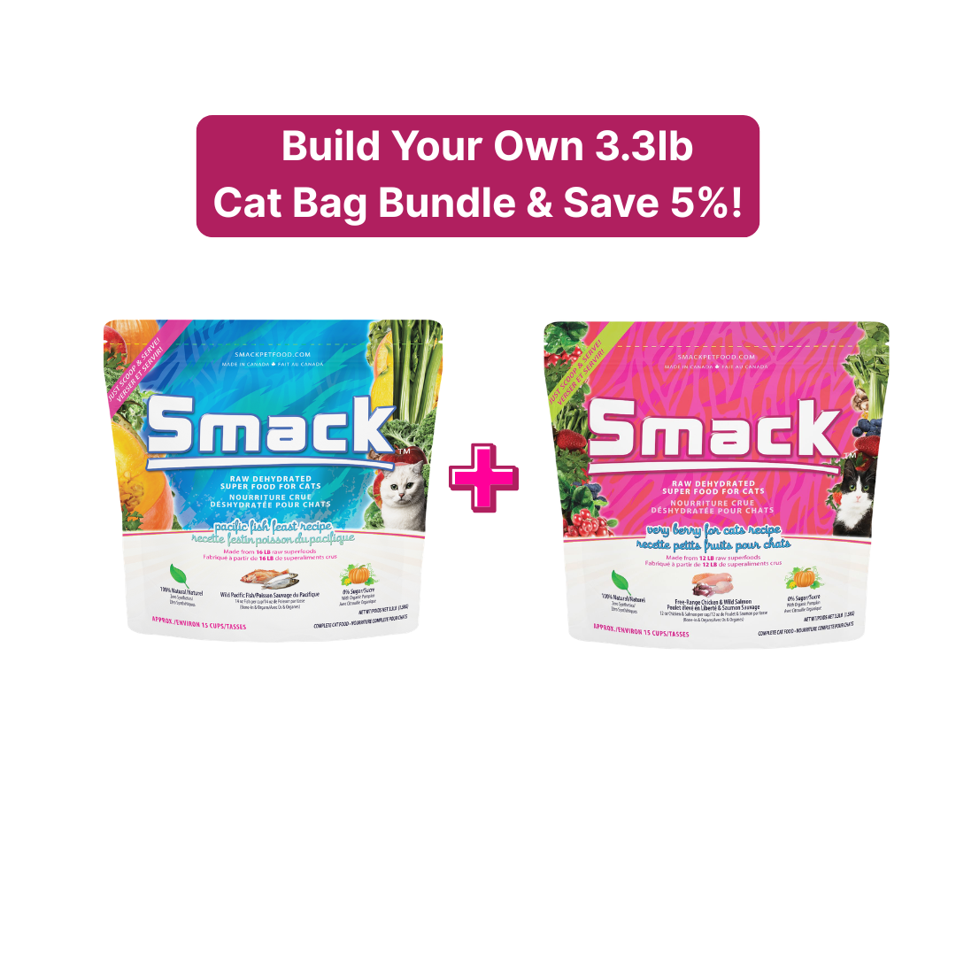 Cat Food Bundle product image 1