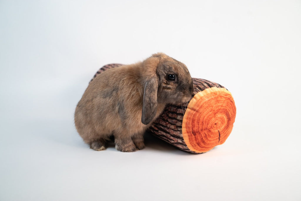 Pet Cushion product image 8