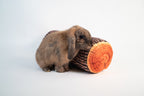 Pet Cushion product image 8