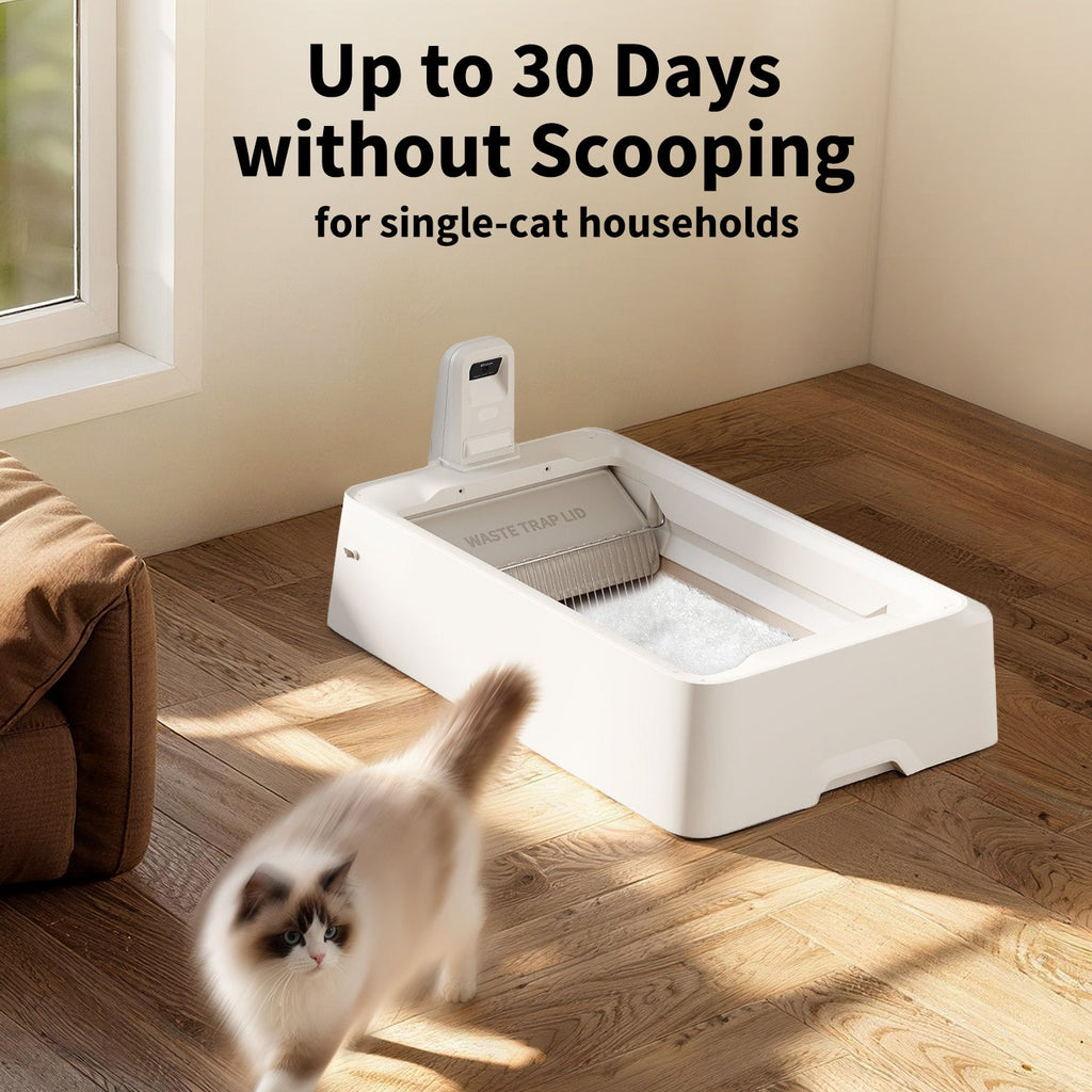 Automatic Litter Box product image 4