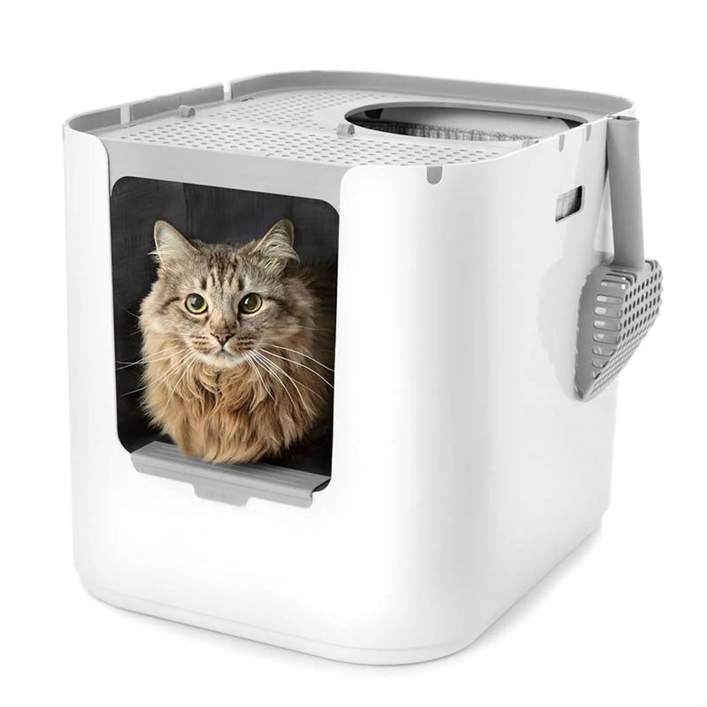XL Dual Entry Cat Litter Box product image 1