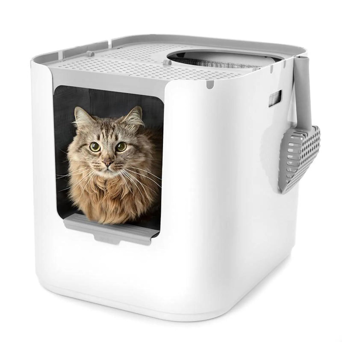 XL Dual Entry Cat Litter Box product image 1