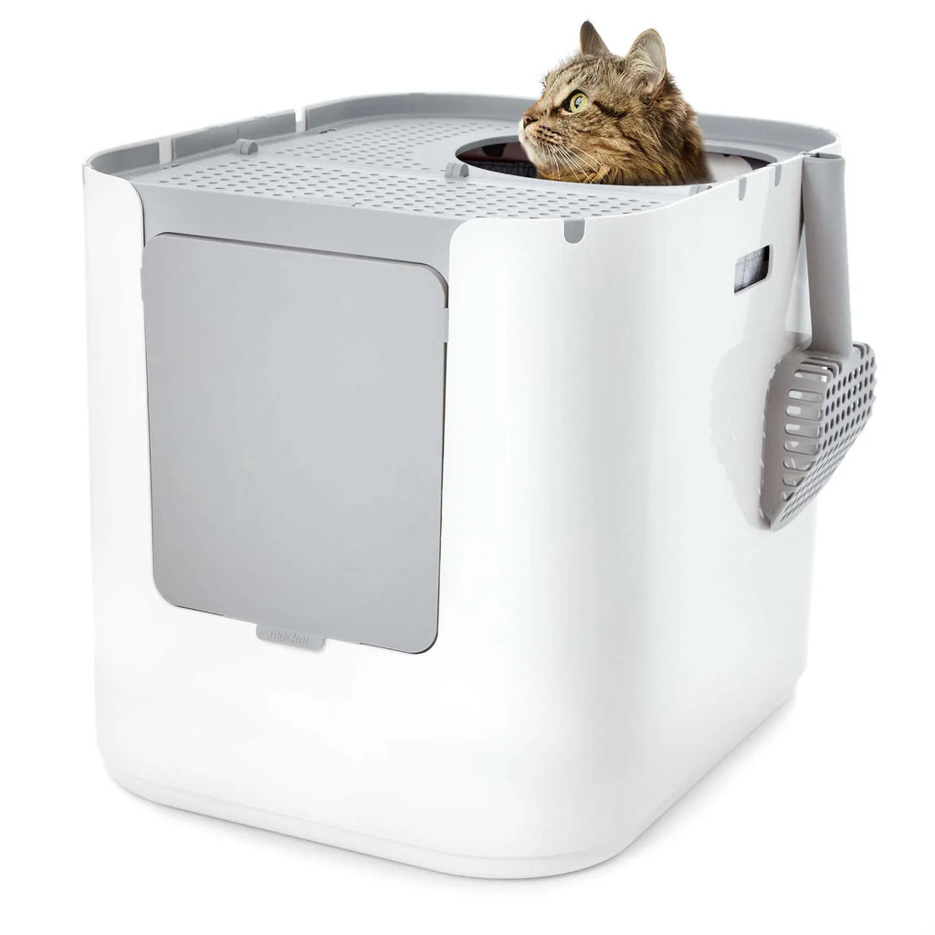 XL Dual Entry Cat Litter Box product image 2