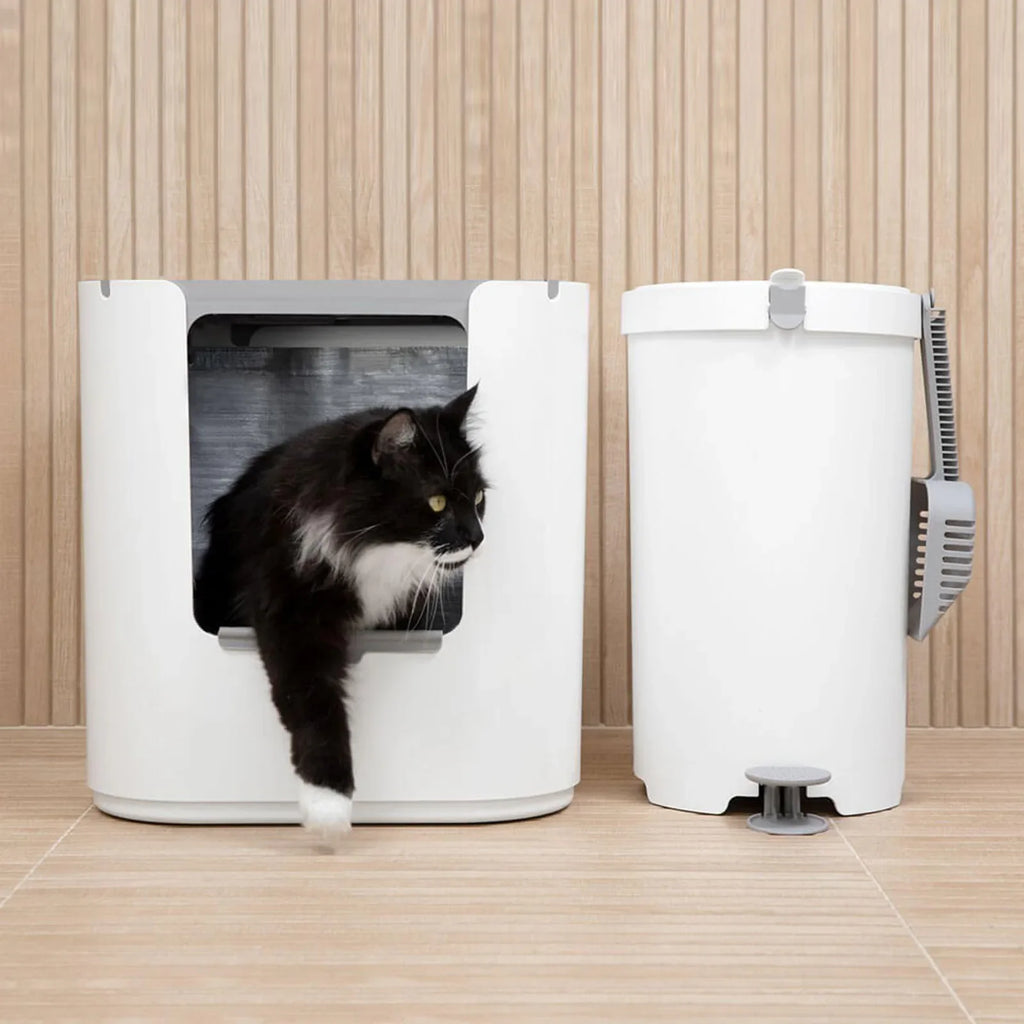 XL Dual Entry Cat Litter Box product image 3