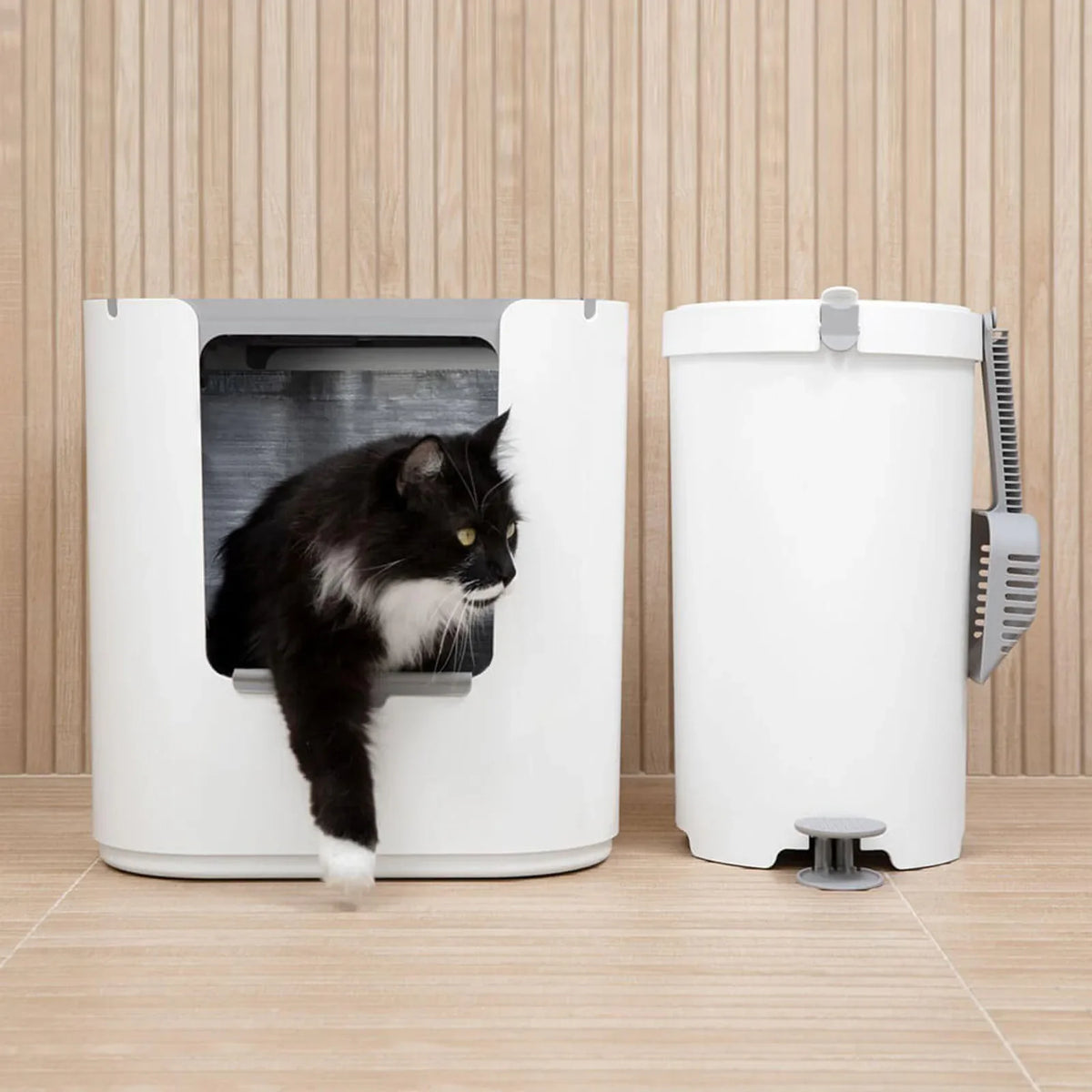 XL Dual Entry Cat Litter Box product image 3