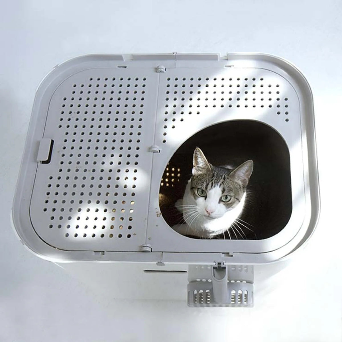 XL Dual Entry Cat Litter Box product image 4