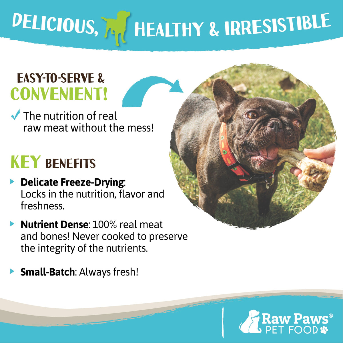 Freeze-Dried Dog Treats, Duck Necks for Dogs, 5 oz Single-Ingredient Snack for Everyday Treat Time