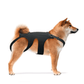 Dog Back Brace product image 1