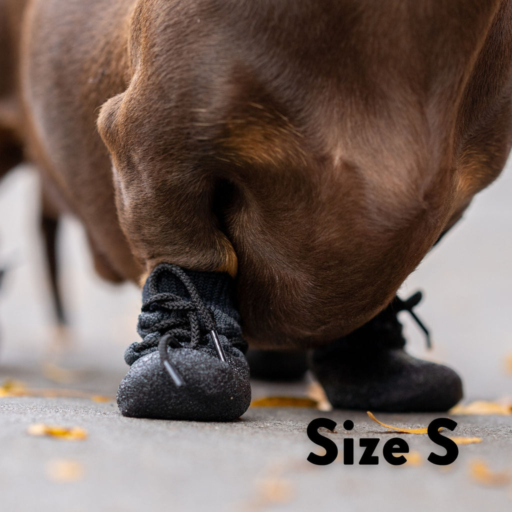 Dog Socks product image 3