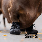 Dog Socks product image 3