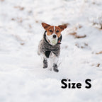 Dog Socks product image 5