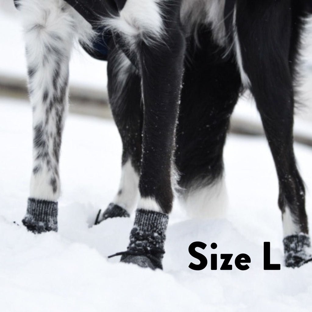 Dog Socks product image 6