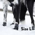 Dog Socks product image 6