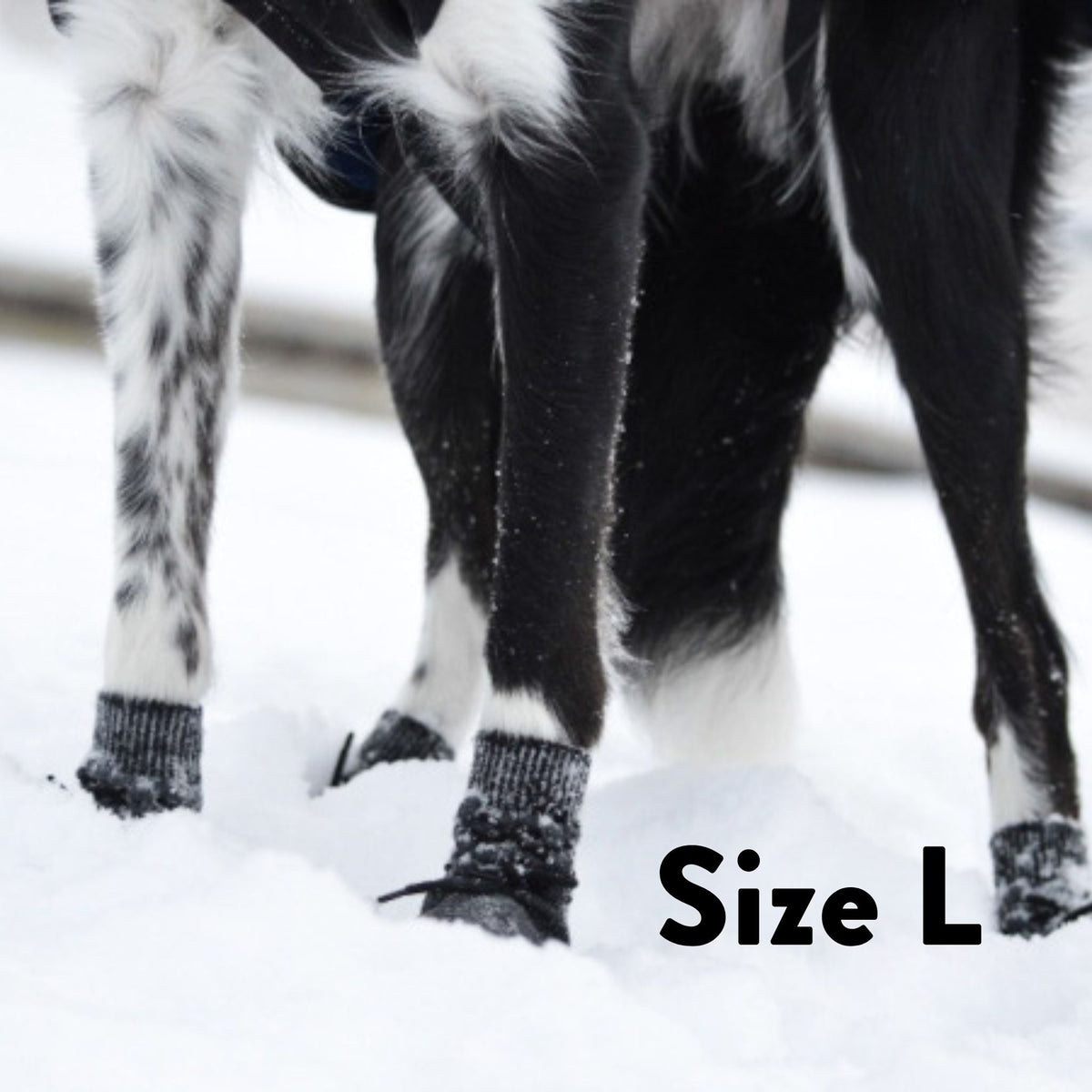 Dog Socks product image 6