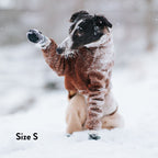 Dog Socks product image 8