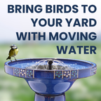 Solar Birdbath product image 4