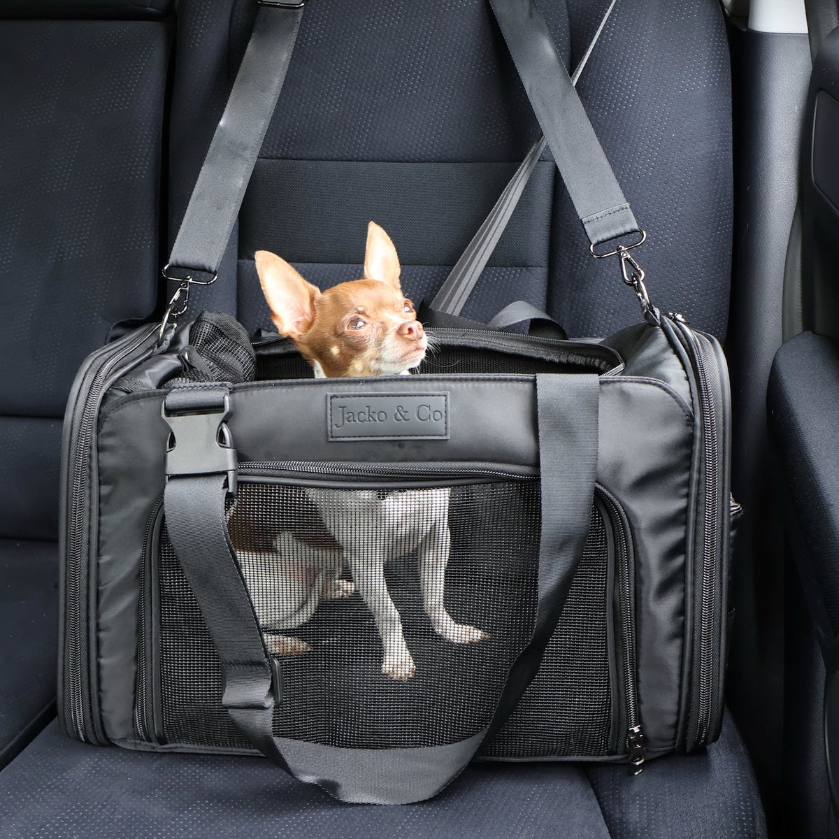 Soft-Sided Pet Carrier product image 2