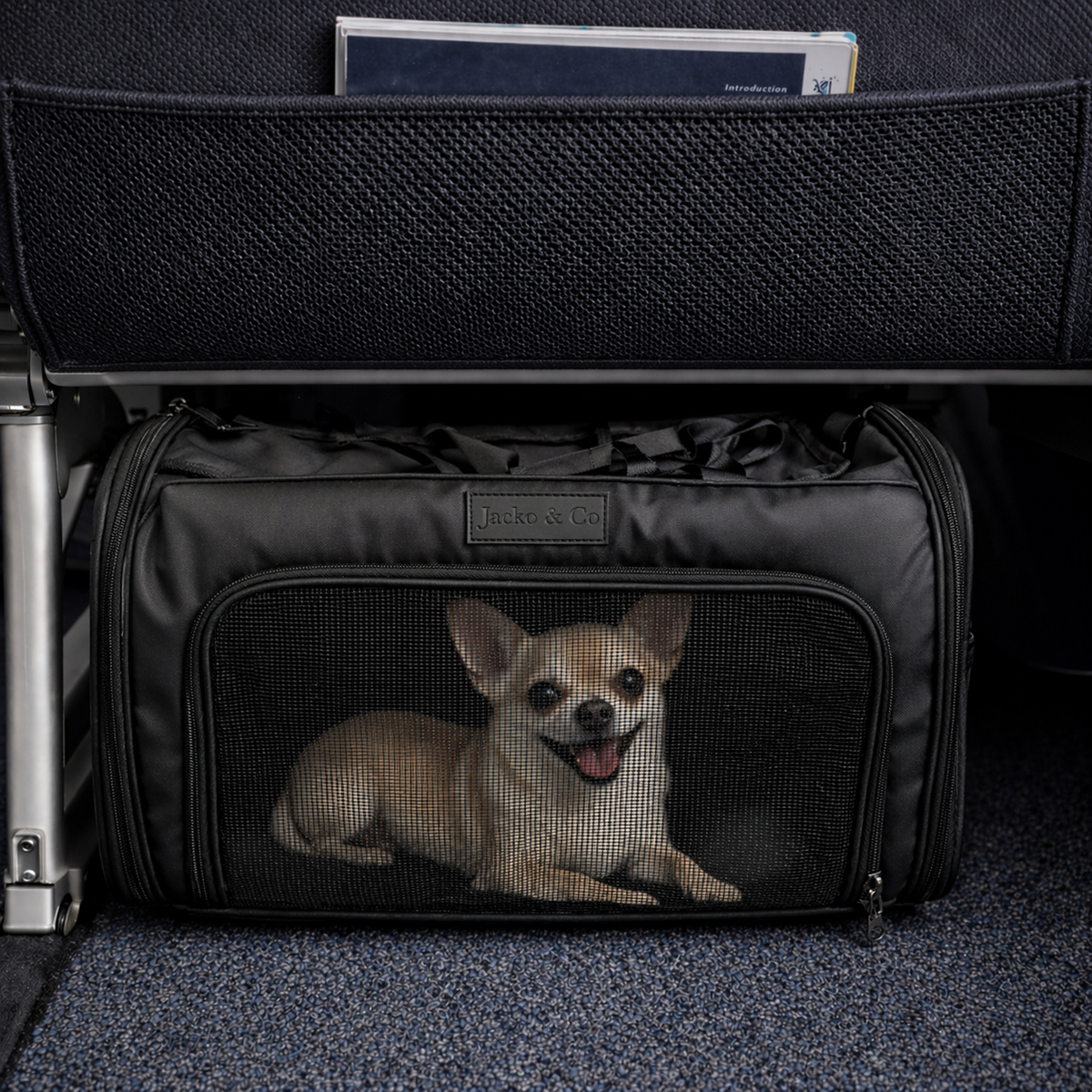 Soft-Sided Pet Carrier product image 3