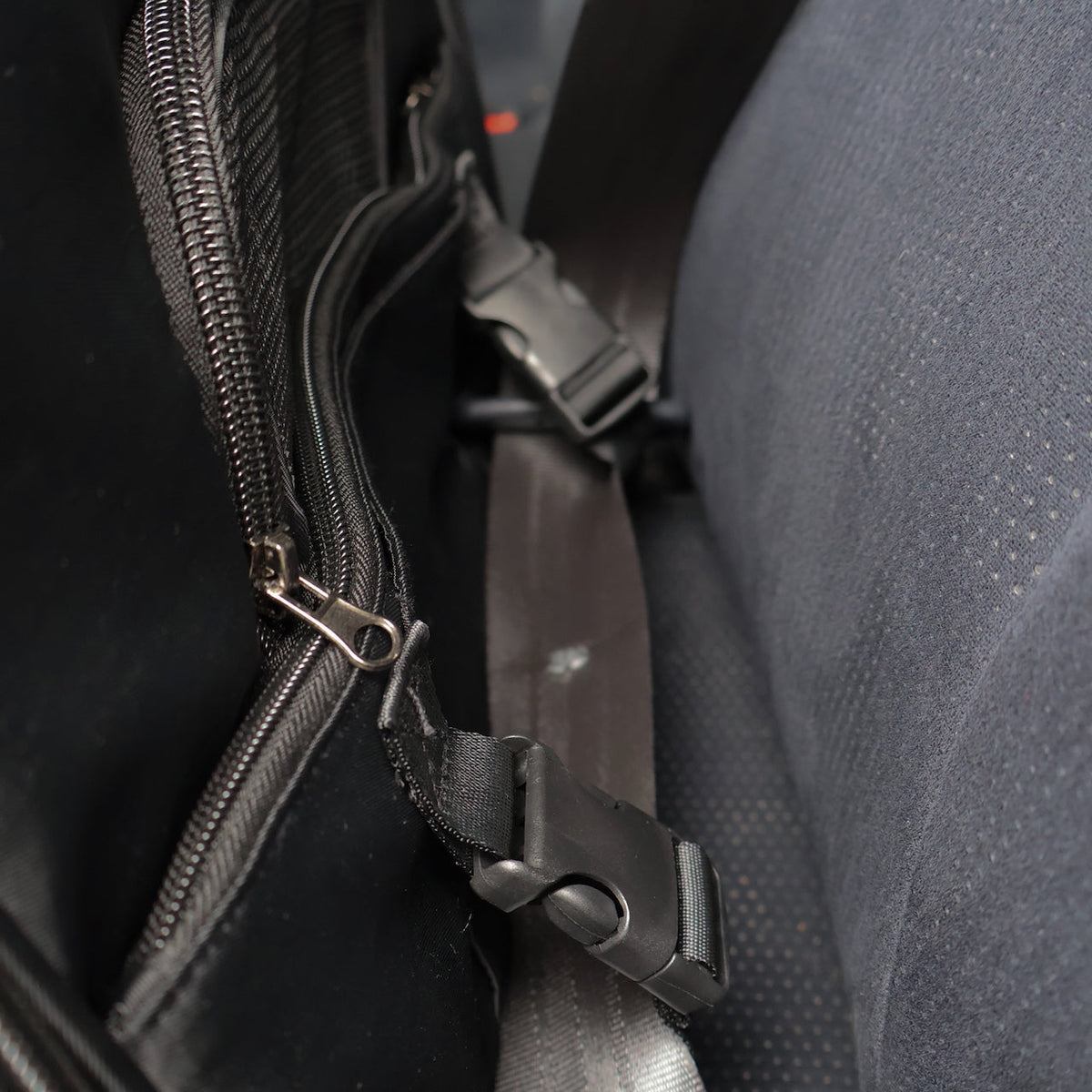 Soft-Sided Pet Carrier product image 11