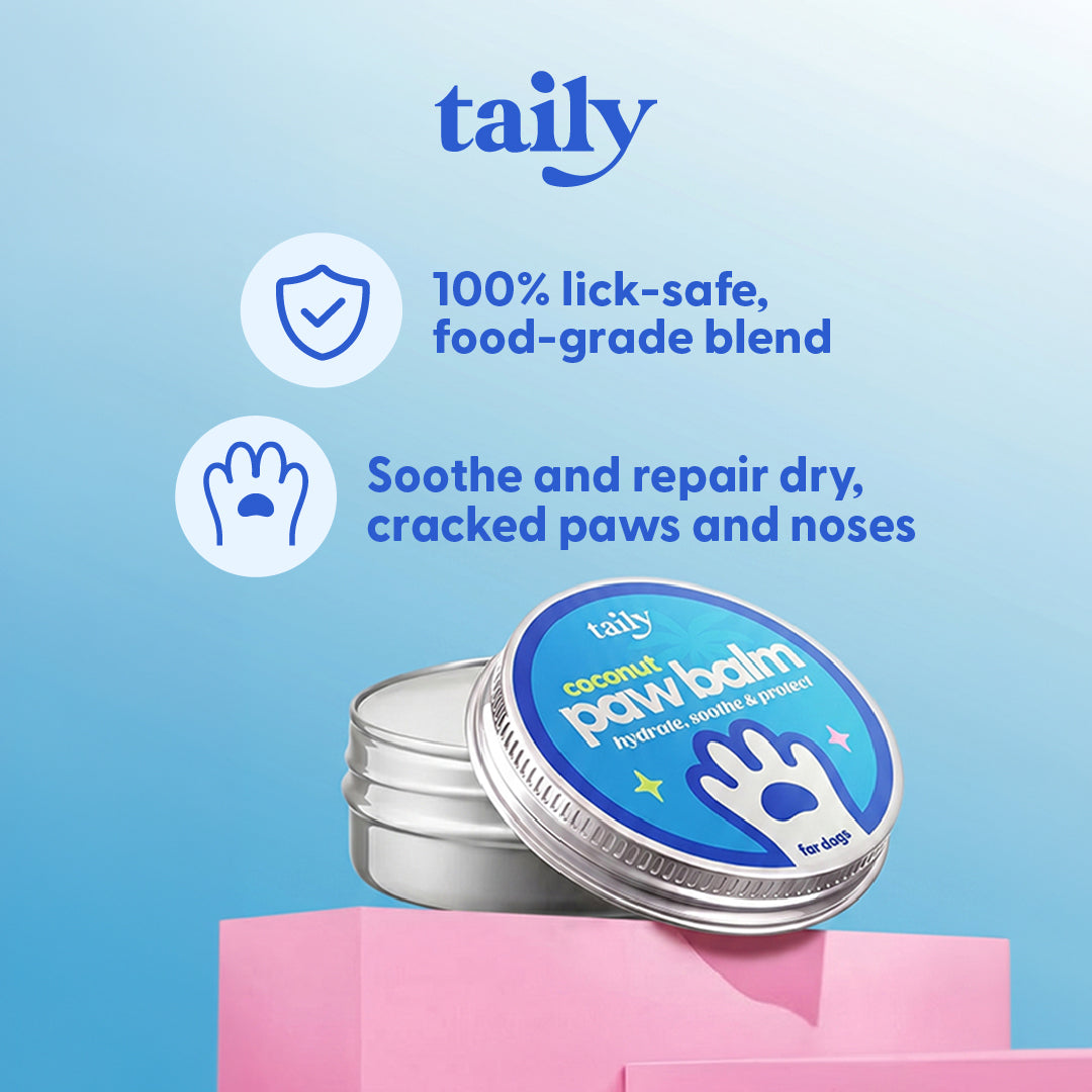 Dog Paw Balm product image 1