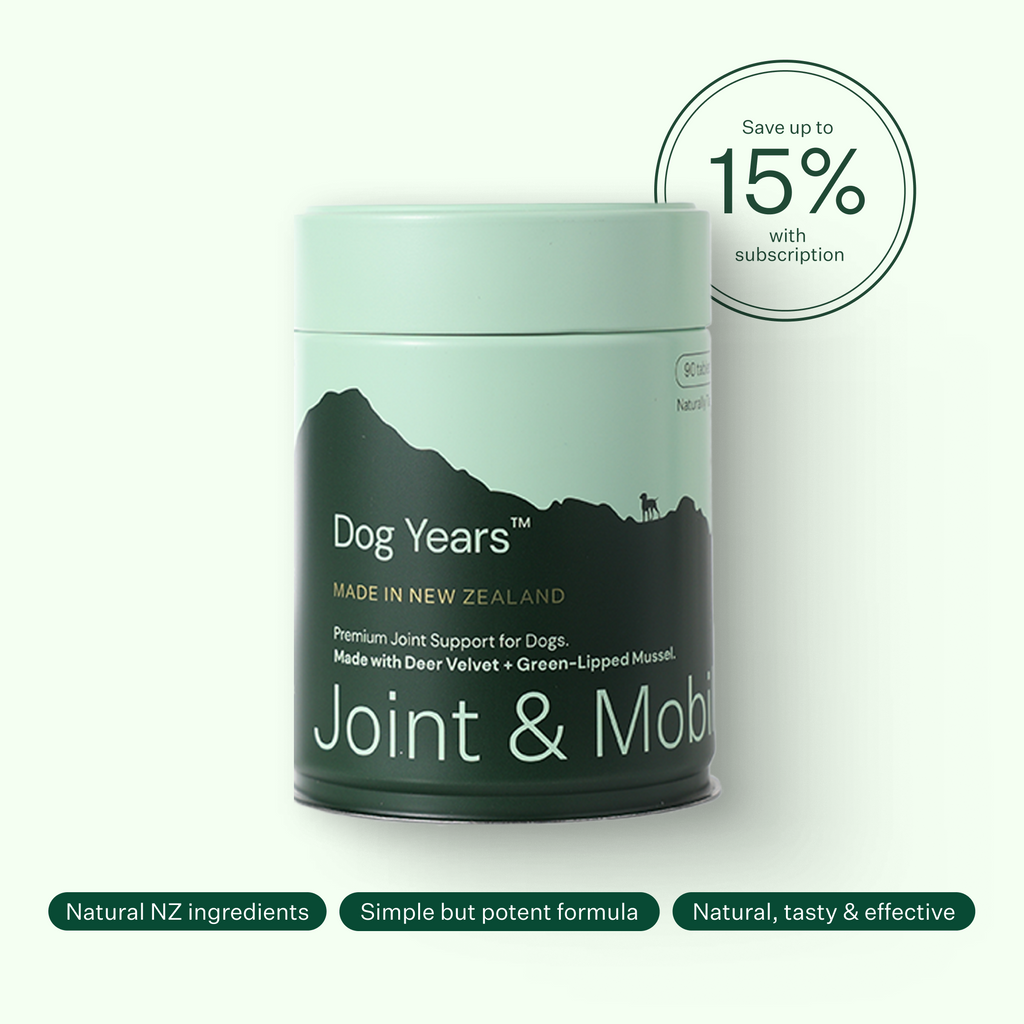 Dog Joint and Mobility Chew Supplement product image 2