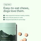 Dog Joint and Mobility Chew Supplement product image 3