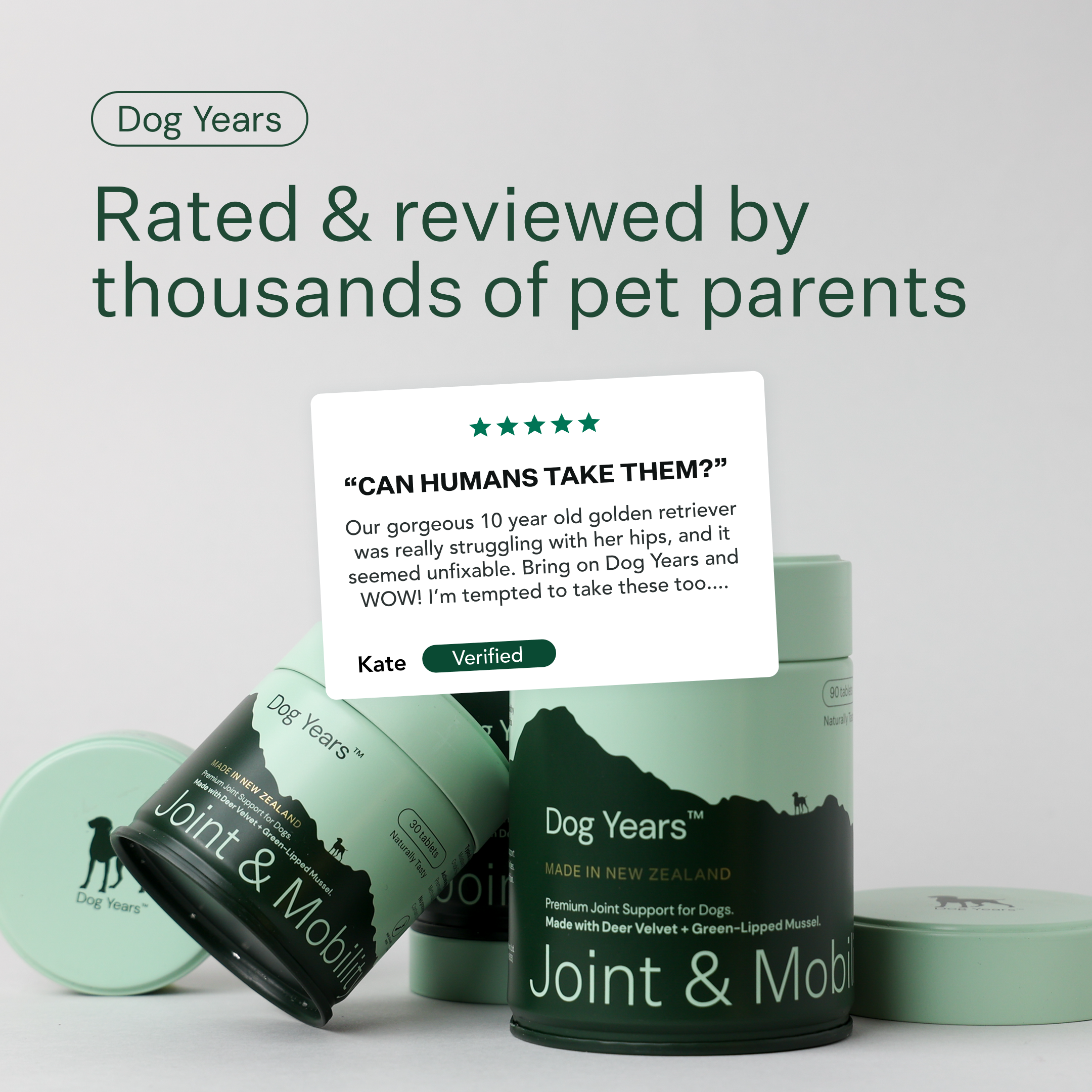 Dog Joint and Mobility Chew Supplement product image 4