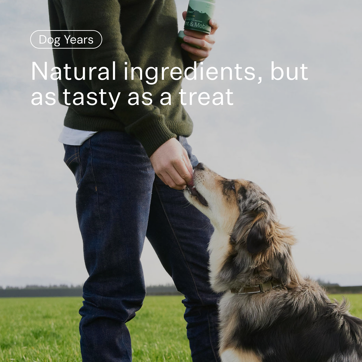 Dog Joint and Mobility Chew Supplement product image 5