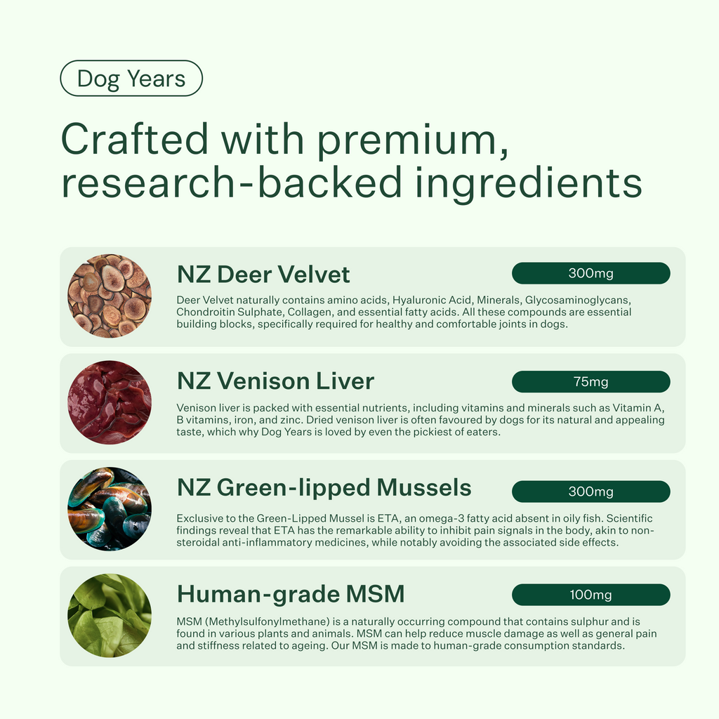 Dog Joint and Mobility Chew Supplement product image 7