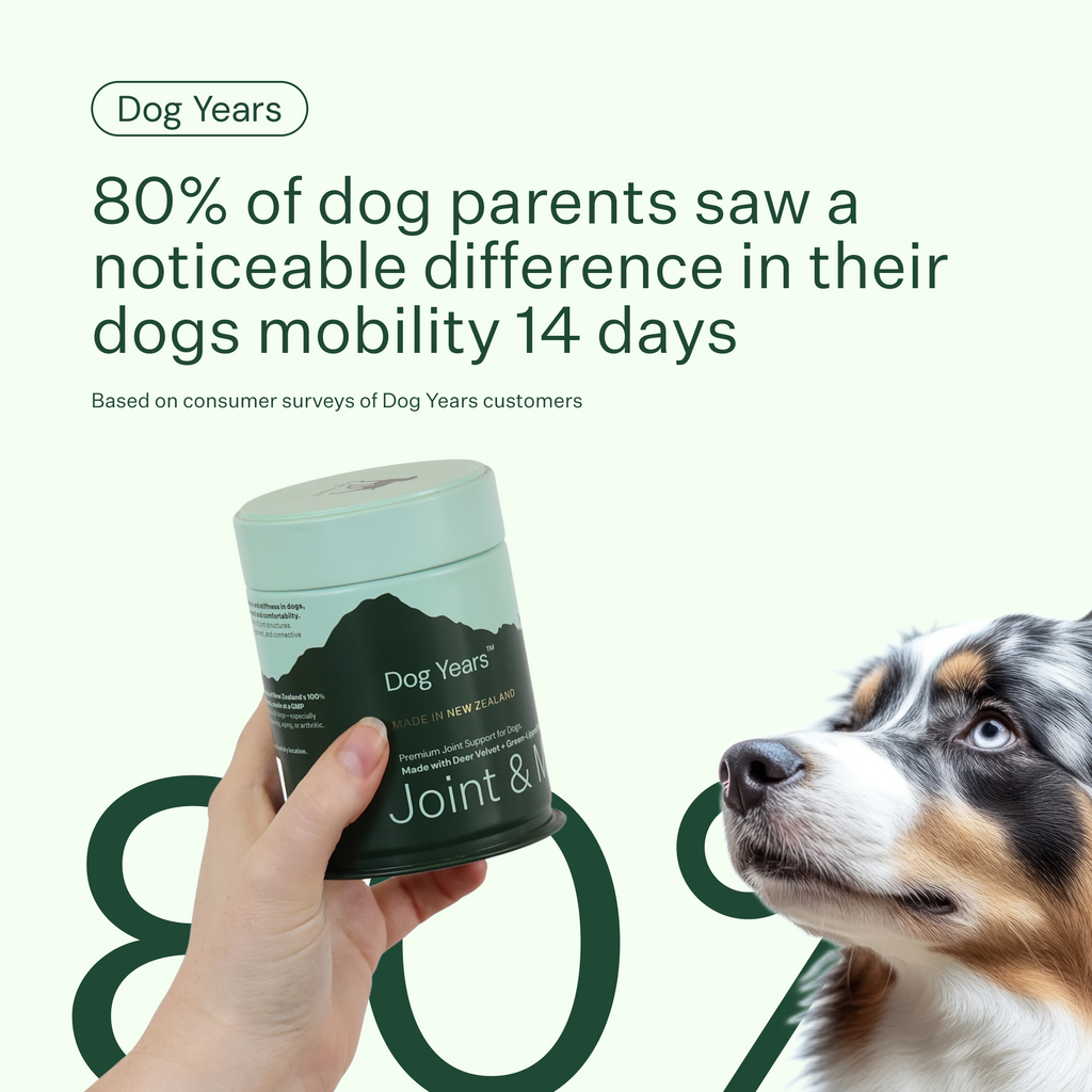 Dog Joint and Mobility Chew Supplement product image 9