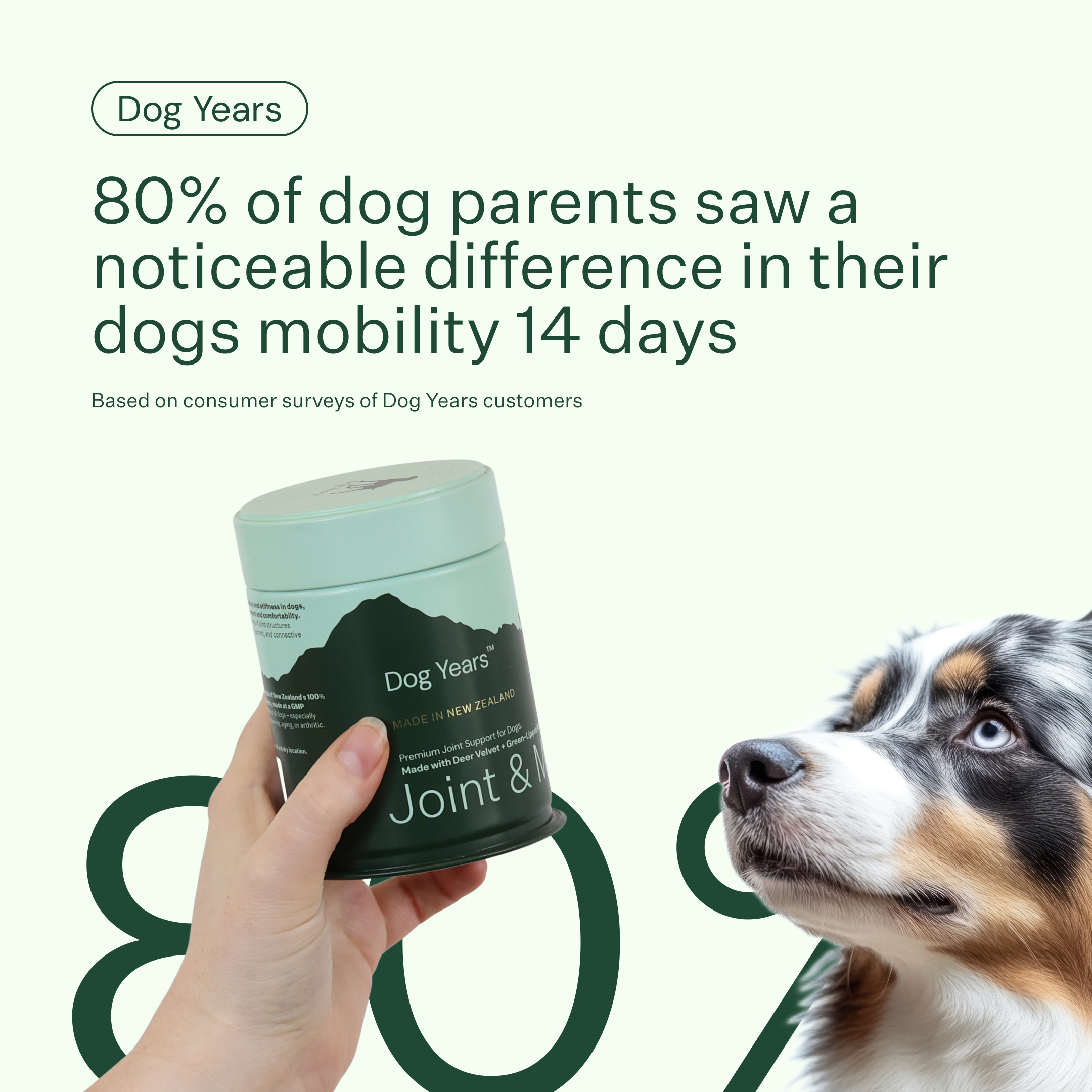 Dog Joint and Mobility Chew Supplement product image 9