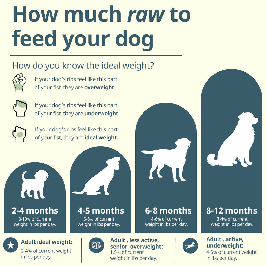 Premium Blend Raw Dog Food product image 5