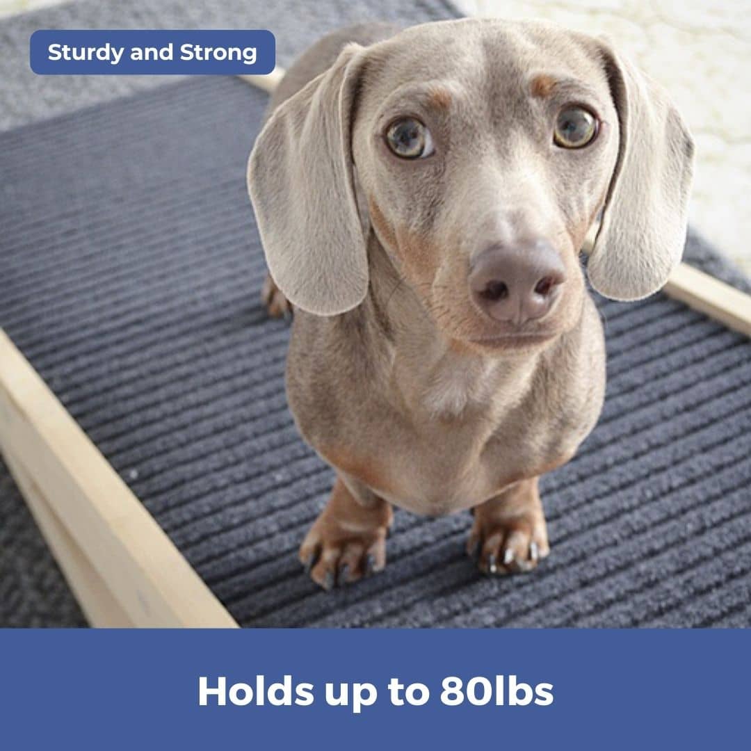 Adjustable Wooden Dog Ramp product image 7