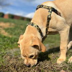 No-Pull Dog Harness product image 4