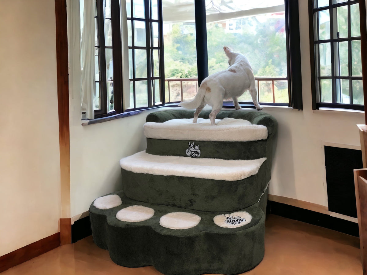 Dog Steps Bed product image 4