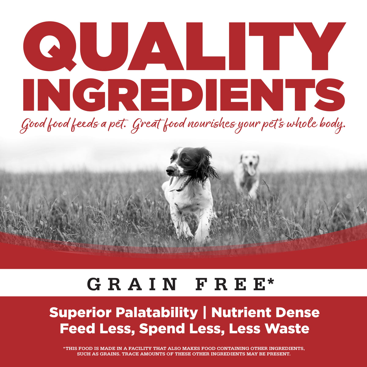 Wet Dog Food product image 5