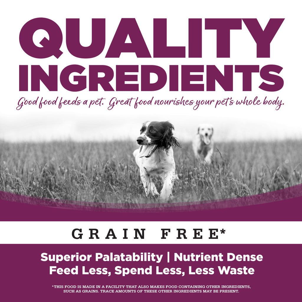 Wet Dog Food product image 5