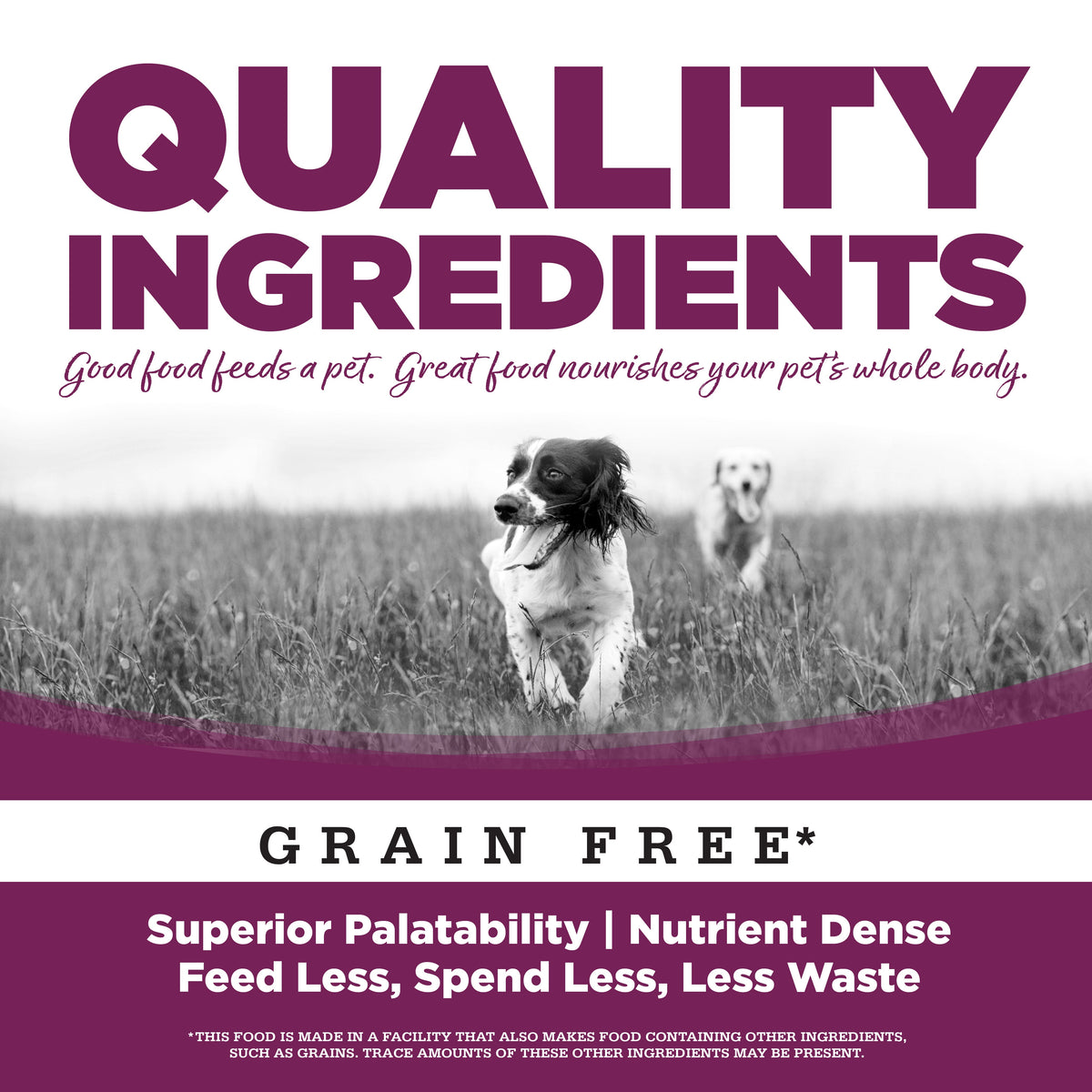 Wet Dog Food product image 5