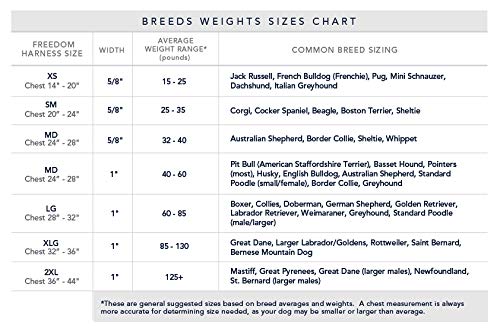 No-Pull Dog Harness product image 7