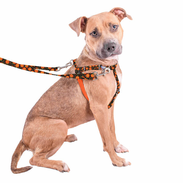 No-Pull Dog Harness product image 8