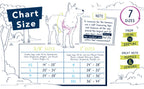 No-Pull Dog Harness product image 5