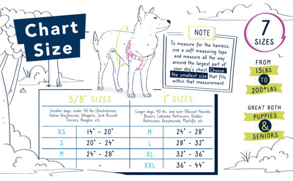 No-Pull Dog Harness product image 4
