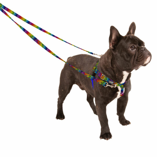 No-Pull Dog Harness product image 4