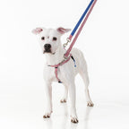 No-Pull Dog Harness product image 4